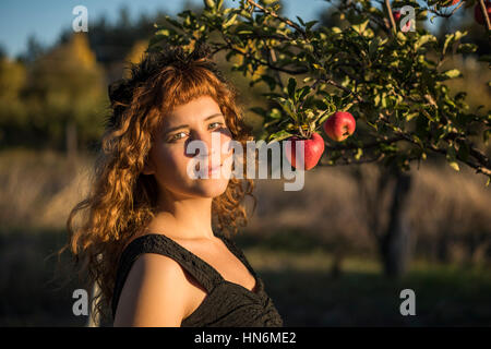 Junge Frau mit roten Haaren als Katze auf Halloween Apfelernte von Bäumen Stockfoto