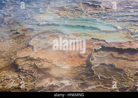 Nahaufnahme von Mammut heißen Quellen im Yellowstone mit Dampf und blau Orange Farben zeigen Textur Stockfoto