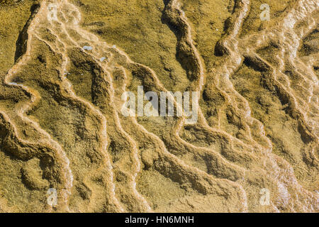 Mammoth Hot Springs im Yellowstone mit Dampf grüne und gelbe Linien zeigen Muster und Texturen Stockfoto