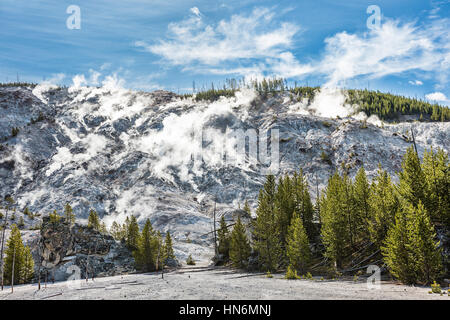 Roaring Mountain im Yellowstone National Park mit heißen Quellen und Dampf Belüftungsöffnungen mit kochendem Wasser Stockfoto