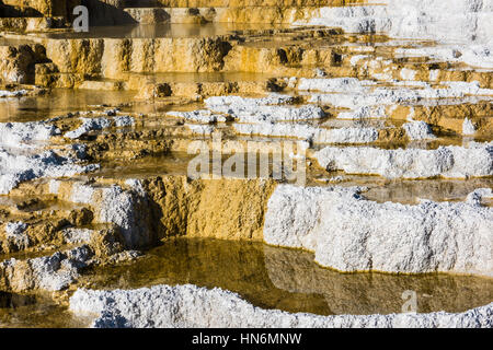 Mammoth Hot Springs Travertin Terrassen im Yellowstone National Park mit Dampf und Schritt Stockfoto