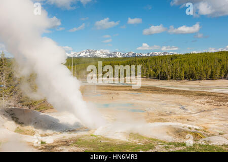 Steamboat-Geysir im Norris Basin im Yellowstone National Park mit heißem Dampf, Dampf, blaue heiße Quellen und Berge Stockfoto