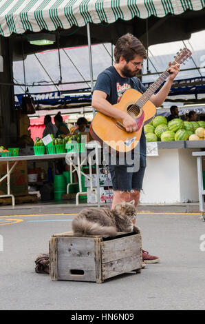 Montreal, Kanada - 26. Juli 2014: Junger Mann in einer Straße im Frischmarkt Gitarre mit Katze Stockfoto