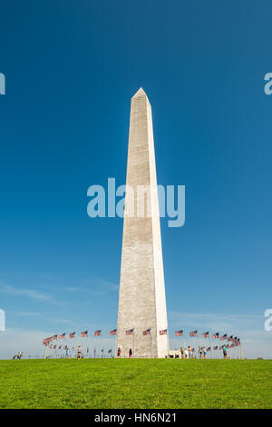 Washington DC, USA - 27. August 2016: Washington Monument mit amerikanischen Fahnen und Menschen isoliert gegen blauen Himmel auf national Mall mit grünen Rasen Stockfoto