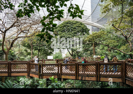 Innerhalb des Edward Youde Aviary in Hong Kong Stockfoto