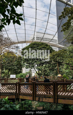 Innerhalb des Edward Youde Aviary in Hong Kong Stockfoto