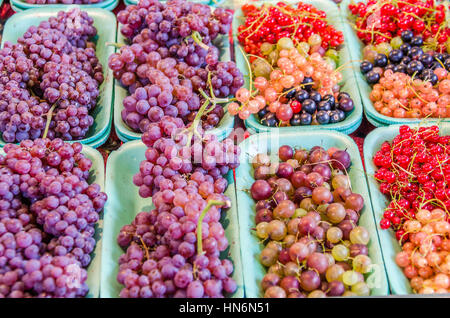 Frisch auf der Rebe Trauben, rote und schwarze Johannisbeeren und Stachelbeeren auf dem Display am Bauernmarkt Stockfoto