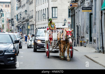 Montreal, Kanada - 26. Juli 2014: Reiseleiter unterwegs in Pferd Wagen Buggy im Altstadt city Stockfoto