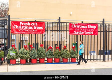Burke, USA – 25. November 2016: Walmart Store Fassade mit Weihnachten Weihnachtsbäume auf dem Display an Gartencenter und Frau zu Fuß Stockfoto