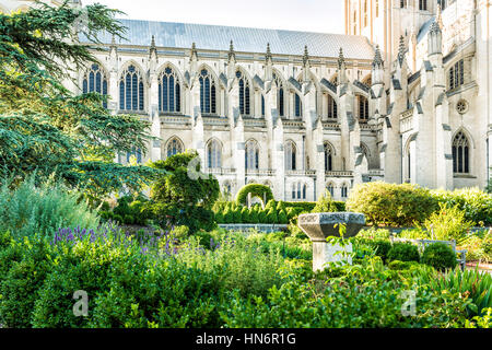 Washington DC, USA - 29. Juni 2016: Garten durch die National Cathedral Church of Saint Peter and Saint Paul mit Blumen Stockfoto