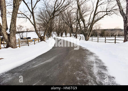 Eine Straße führt zu Asche Rasen-Hochland, Heimat von Präsident James Monroe, befindet sich in der Albemarle Grafschaft, Virginia. Stockfoto