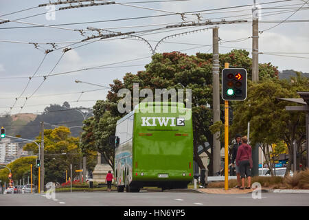 Kiwi-Erfahrung-Bus, Wellington, Neuseeland Stockfoto
