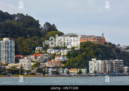 Oriental Bay, Wellington, Neuseeland Stockfoto