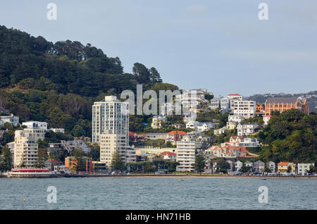 Oriental Bay, Wellington, Neuseeland Stockfoto