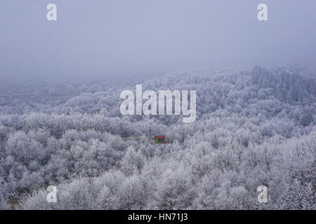 Ein einsames Haus in Frost bedeckt Wald, Bela Krajina Slowenien Stockfoto