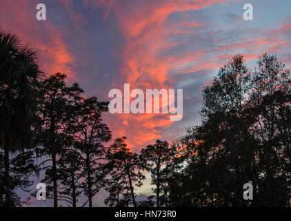 Sonnenuntergang am Himmel über Hillsborough River State Park, Florida, USA Stockfoto