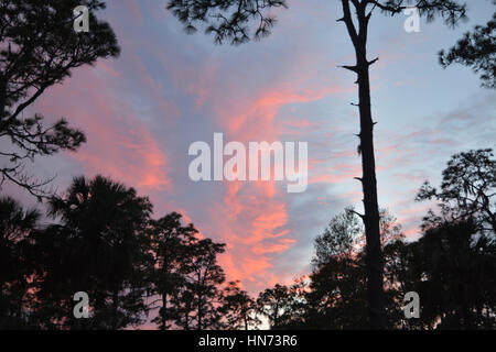 Sonnenuntergang am Himmel über Hillsborough River State Park, Florida, USA Stockfoto