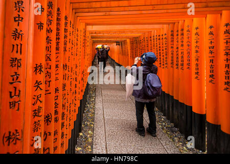 Roten Torii, Fushimi Inari-Taisha (Shinto-Schrein), Kyoto, Japan Stockfoto