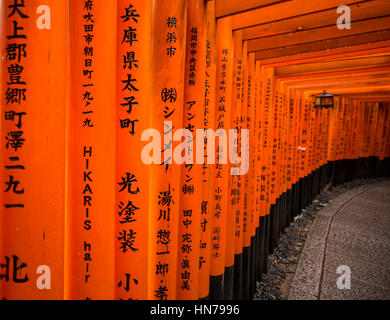 Roten Torii, Fushimi Inari-Taisha (Shinto-Schrein), Kyoto, Japan Stockfoto