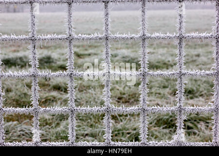 Eiskristalle auf einem Zaun nach starkem frost Stockfoto