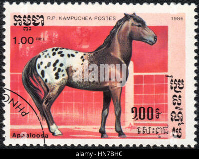 R.P KAMPUCHEA - CIRCA 1986: Eine Briefmarke gedruckt in Kambodscha R.P. zeigt eine Appaloosa Pferd, Pferd Rasse Serie, ca. 1986 Stockfoto