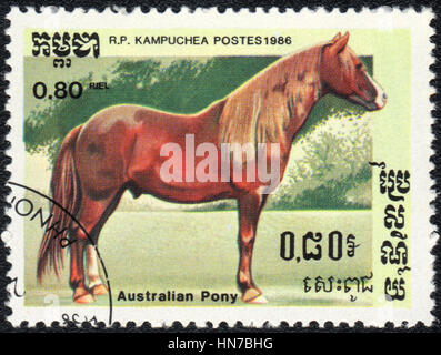 Eine Briefmarke gedruckt in R.P. Kambodscha zeigt ein Australian Pony Rasse der Pferde-Serie, ca. 1986 Stockfoto