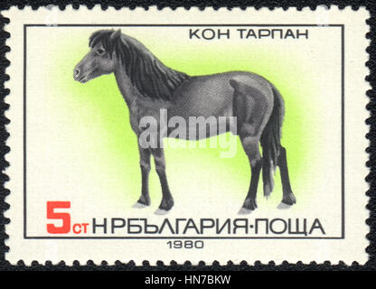 Eine Briefmarke gedruckt in Bulgarien zeigt ein Tarpan, Pferd Rasse Serie, ca. 1980 Stockfoto