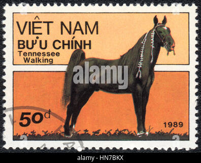 Eine Briefmarke gedruckt in Vietnam zeigt ein Tennessee Walking Horse, Pferd Rasse Serie, circa 1989 Stockfoto