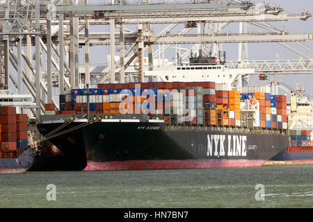 ROTTERDAM, Niederlande - 16. März 2016: Meer Containerschiff Nyk Oceanus von NYK Line in ECT Container-terminal im Hafen von Rotterdam festgemacht. Stockfoto