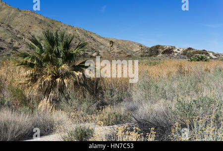 Palm Springs Golfplatz California Stockfoto