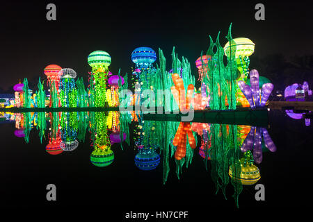 DUBAI, Vereinigte Arabische Emirate - 6. Dezember 2016: Schöne Installationen bei der Familie Freizeitpark Dubai Garten Leuchten nachts beleuchtet. Vereinigte Arabische Emirate, Naher Osten Stockfoto