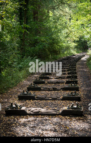 Wald von Dean Sculture Trail, Lollapalooza, Gloucestershire, UK. Stockfoto