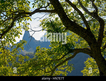 Landschaft in der Nähe von Cucayo, einem Bergdorf in den Picos de Europa National Park in Kantabrien Nordspanien Stockfoto