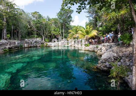 Open-Air-Cenote, in der Nähe von Coba, Riviera Maya, Yucatan-Halbinsel, mexikanischer Staat Quintana Roo, Mexiko Stockfoto