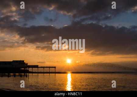 Aberystwyth, Wales, UK. 10. Februar 2017.  Am Ende von einem sonnigen Wintertag strömen Tausende von Staren bevor er sich an ihren Schlafplatz unter Aberystwyth Pier, mit der untergehenden Sonne im Hintergrund. Bildnachweis: Alan Hale/Alamy Live-Nachrichten Stockfoto