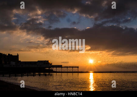 Aberystwyth, Wales, UK. 10. Februar 2017.  Am Ende von einem sonnigen Wintertag strömen Tausende von Staren bevor er sich an ihren Schlafplatz unter Aberystwyth Pier, mit der untergehenden Sonne im Hintergrund. Bildnachweis: Alan Hale/Alamy Live-Nachrichten Stockfoto