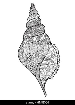 Seashell auf weißem Hintergrund. Hand gezeichnet Doodle sea shell Vector Illustration. Stock Vektor