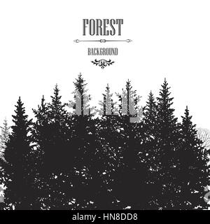 Weihnachten Tanne Baum Grenze. Verschneiten Wald Hintergrund Baum Silhouette auf weißem Hintergrund. Pflanzen. Winterpark Tapete. Stock Vektor