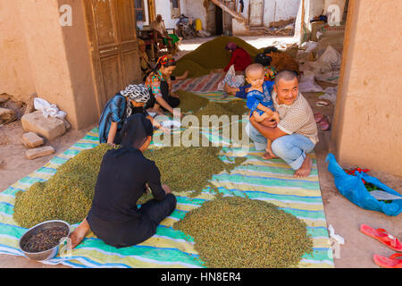 Grüne Trauben werden zu Hause in Toyuq, Xinjiang Autonome Region, China gereinigt. Stockfoto
