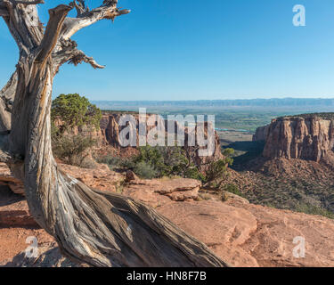 Independence Monument von Grand View übersehen, Colorado National Monument, CO, USA Stockfoto