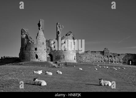 Sommer Himmel, Dunstanburgh Castle, Northumbrian Nordküste, Northumbria County, England, UK Stockfoto