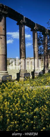 Das ovale Forum in Jerash, Jordanien Stockfoto