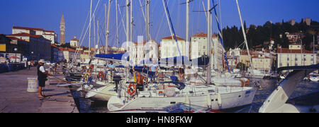 Piran Marina. Primorska. Slowenien Stockfoto