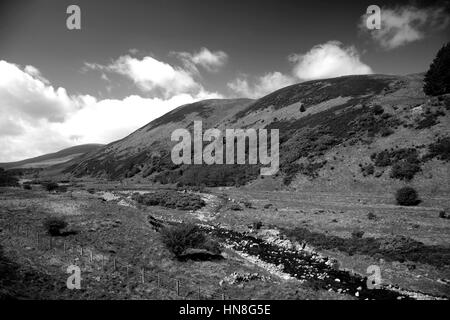 Blackseat Hill, Verbrühung Hill, den Cheviot Hills, Grafschaft Northumberland National Park, Northumbria, England, UK Stockfoto