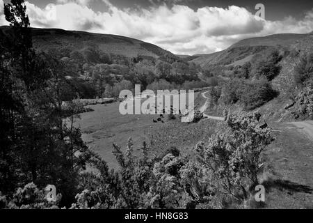 Blackseat Hill, Verbrühung Hill, den Cheviot Hills, Grafschaft Northumberland National Park, Northumbria, England, UK Stockfoto