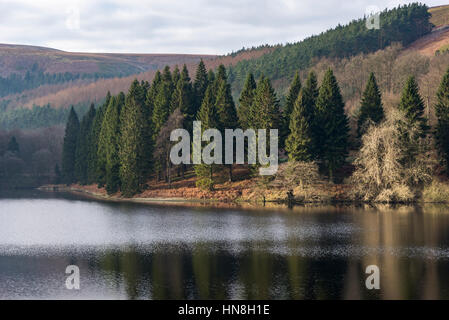Schöne Aussicht von Waldbäumen neben Derwent Reservoir in den Peak District, England Stockfoto