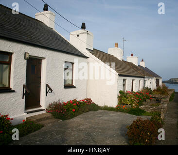 Pretty White Cottages in Moelffre an der Küste von Anglesey, Nordwales Stockfoto