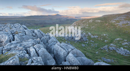 Whernside Hill, eines der berühmten drei Zinnen betrachtet aus Ravens Narbe Kalkstein Pflaster in der Nähe von weißen Narben über Ingleton in der Yorkshire-Da bei Sonnenuntergang. Stockfoto