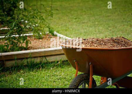  Speichern Download Vorschau Mulch für Garten mit Tomaten-Pläne-Bett auf Hintergrund Stockfoto