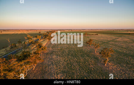 Grüne Weiden mit verstreuten Bäumen bei Sonnenuntergang - geringe Luftaufnahme Stockfoto